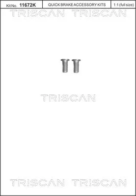 Schroevenset, remschijf TRISCAN 8105 116013)