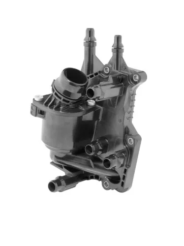 Thermostaat, koelvloeistof BorgWarner (Wahler) 411700.88D)