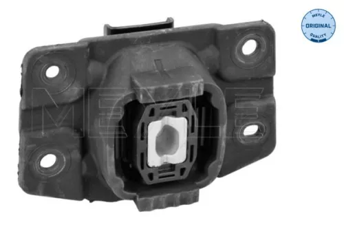 Montage, motor MEYLE 100 199 0197)