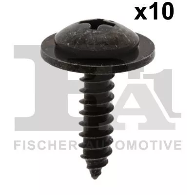 Screw FA1 79-70001.10)