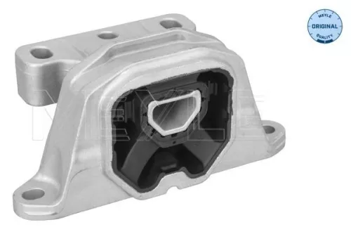 Montage, motor MEYLE 100 199 0196)