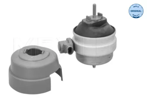 Montage, motor MEYLE 100 199 0286)