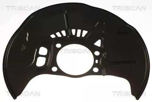 Spatbord, remschijf TRISCAN 8125 13127)
