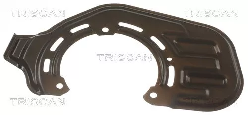 Spatbord, remschijf TRISCAN 8125 24117)