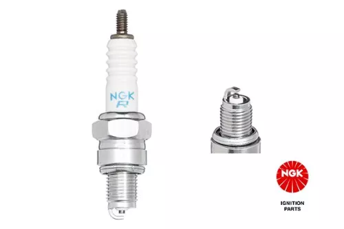 Spark Plug NGK 4549)