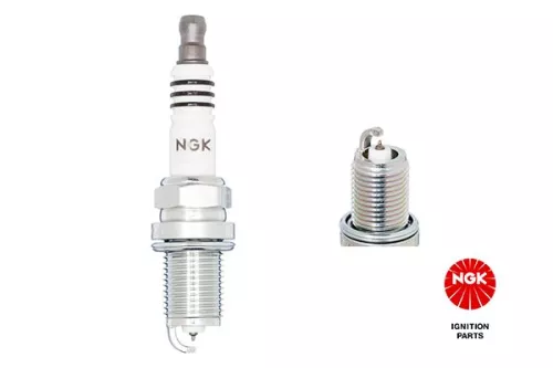 Spark Plug NGK 3764)