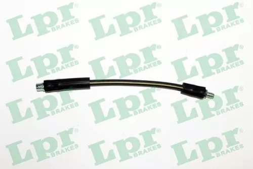 Remslang LPR 6T46769)