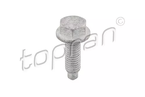 Screw TOPRAN 107 194)
