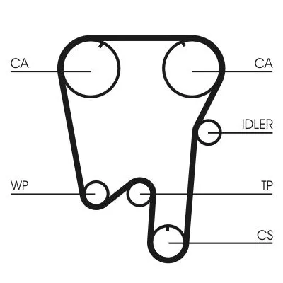 Timing Belt CONTINENTAL CTAM CT902)