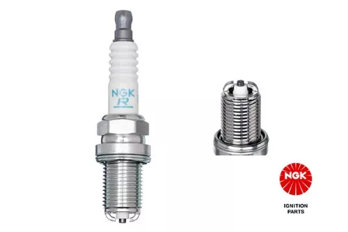 Spark Plug NGK 3584)