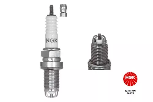Spark Plug NGK 4563)