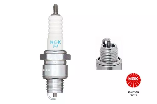 Spark Plug NGK 4296)