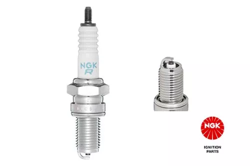Spark Plug NGK 3437)