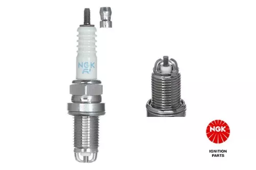 Spark Plug NGK 2197)