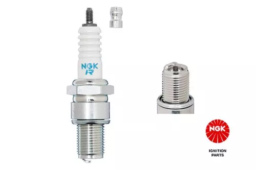 Spark Plug NGK 3570)
