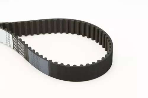 Timing Belt CONTINENTAL CTAM CT522)