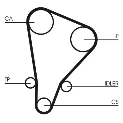 Distributieriem CONTINENTAL CTAM CT521)