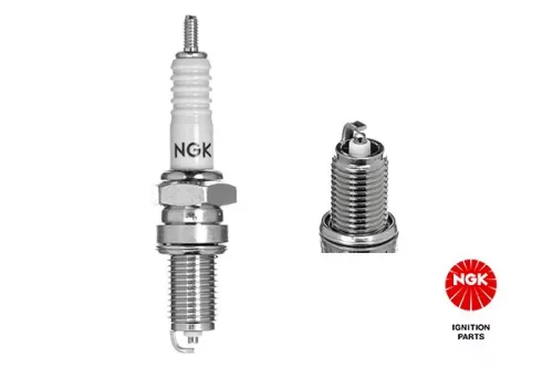 Spark Plug NGK 5829)