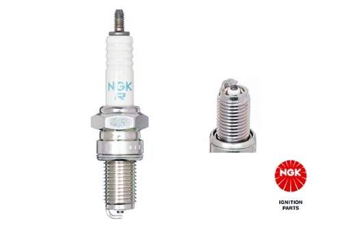 Spark Plug NGK 2923)
