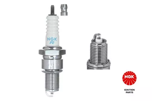 Spark Plug NGK 7422)