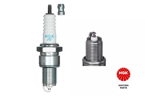 Spark Plug NGK 7822)