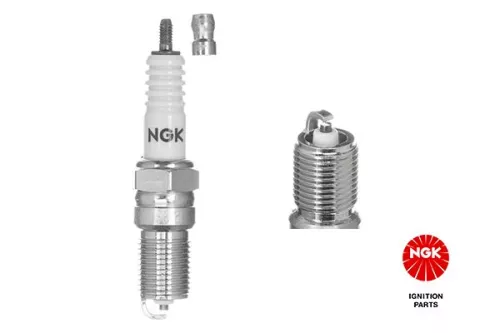 Spark Plug NGK 3812)