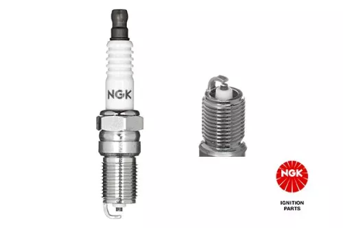Spark Plug  3712)