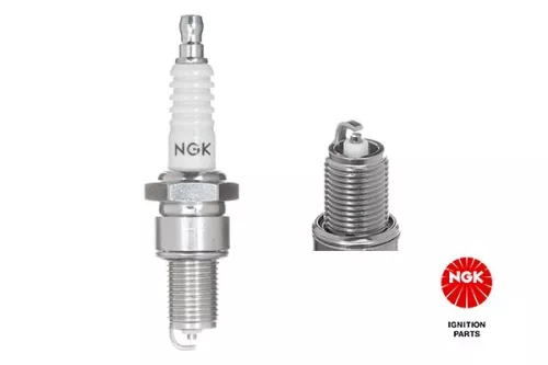 Spark Plug NGK 7311)