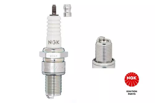 Spark Plug NGK 3530)