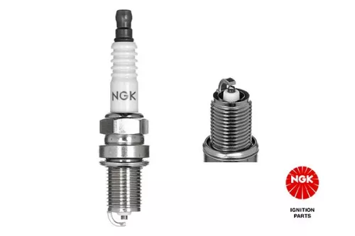 Spark Plug NGK 5030)