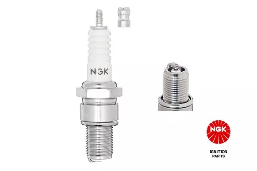 Spark Plug NGK 1111)