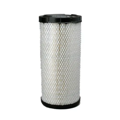 Air Filter DONALDSON P828889)