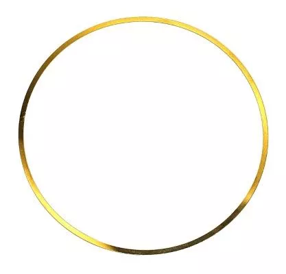 Pakking, cilindervoering ELRING 703.214)