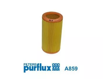 Luchtfilter PURFLUX A859)