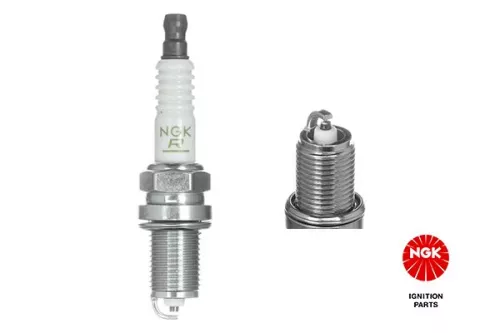 Spark Plug NGK 6097)