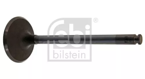 Montage, motor FEBI BILSTEIN 15724)