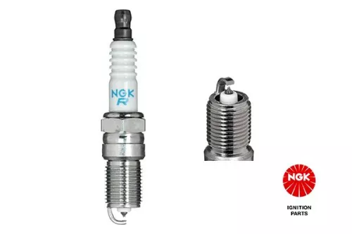 Spark Plug NGK 6344)