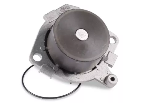 Water Pump, engine cooling HEPU P1087)
