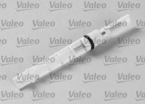 Injectormondstuk, expansieklep VALEO 508970)
