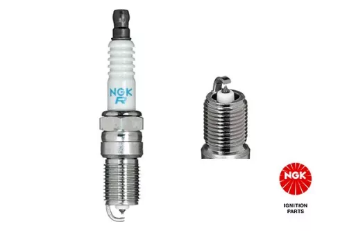 Spark Plug NGK 7569)