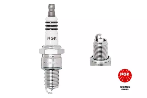 Spark Plug NGK 3903)