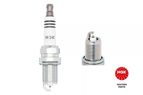 Spark Plug NGK 2667)