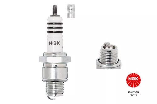 Spark Plug NGK 3419)