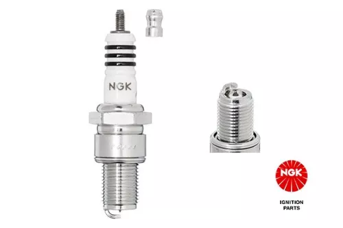 Spark Plug NGK 3981)