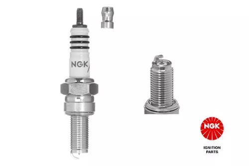 Spark Plug NGK 4218)