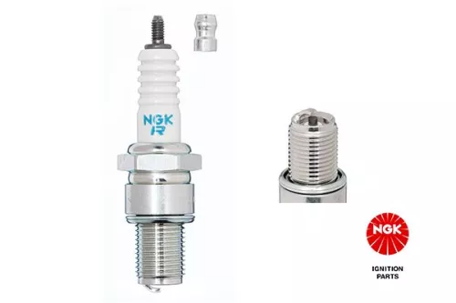 Spark Plug NGK 3972)