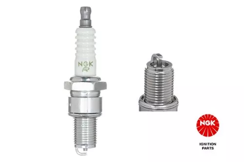 Spark Plug NGK 7548)