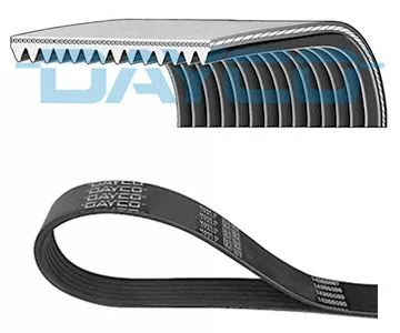 V-vormige riem DAYCO 3PK538)
