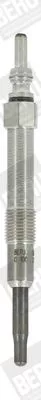 Glow Plug BorgWarner (BERU) GN041)
