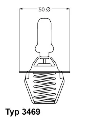 Thermostat, coolant BorgWarner (Wahler) 3469.91D)